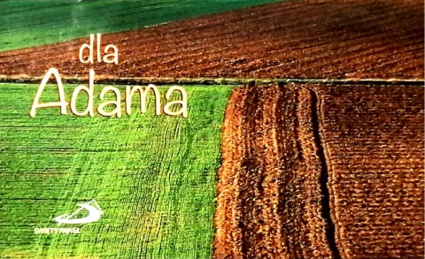 DLA-ADAMA